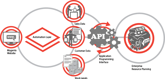 Fishead API Development